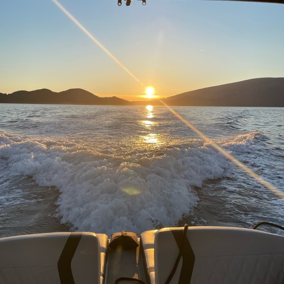 Meet your Posher, Sophie - Picture 1 of 1